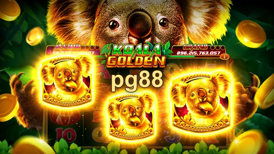 pg88 Login